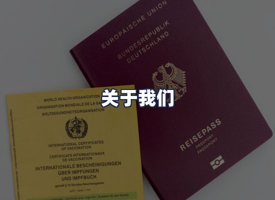 关于我们